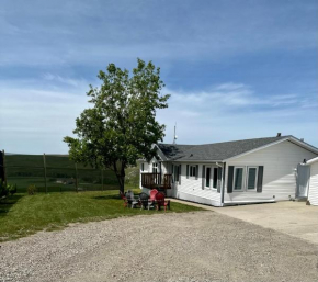 Foothills Ranch & Airbnb
